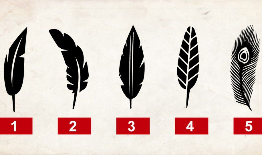 Plumas personalidad