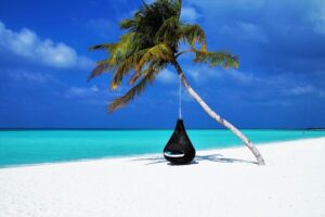 Perdidos en una isla ¿Qué pasaría según tu personalidad MBTI? 3 perdidos en una isla