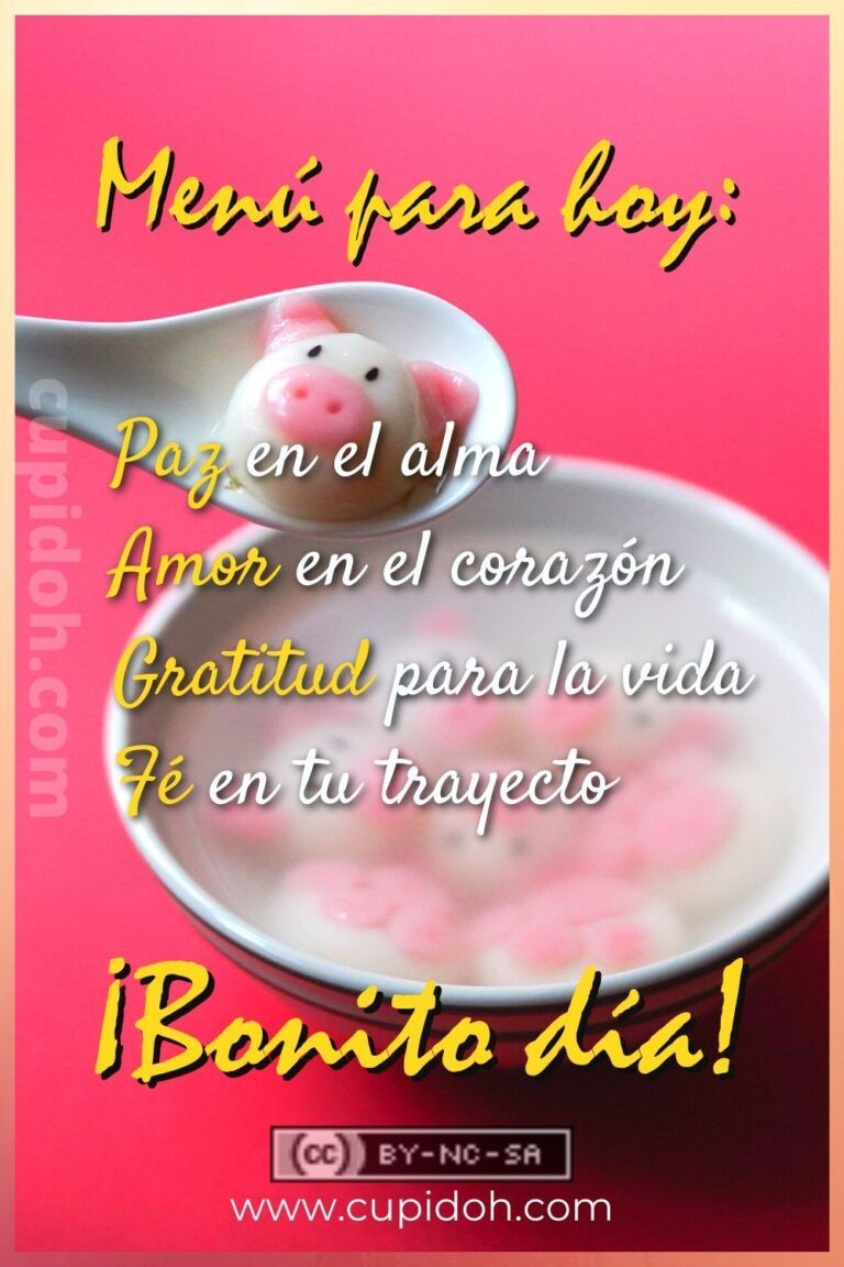 Bonito día