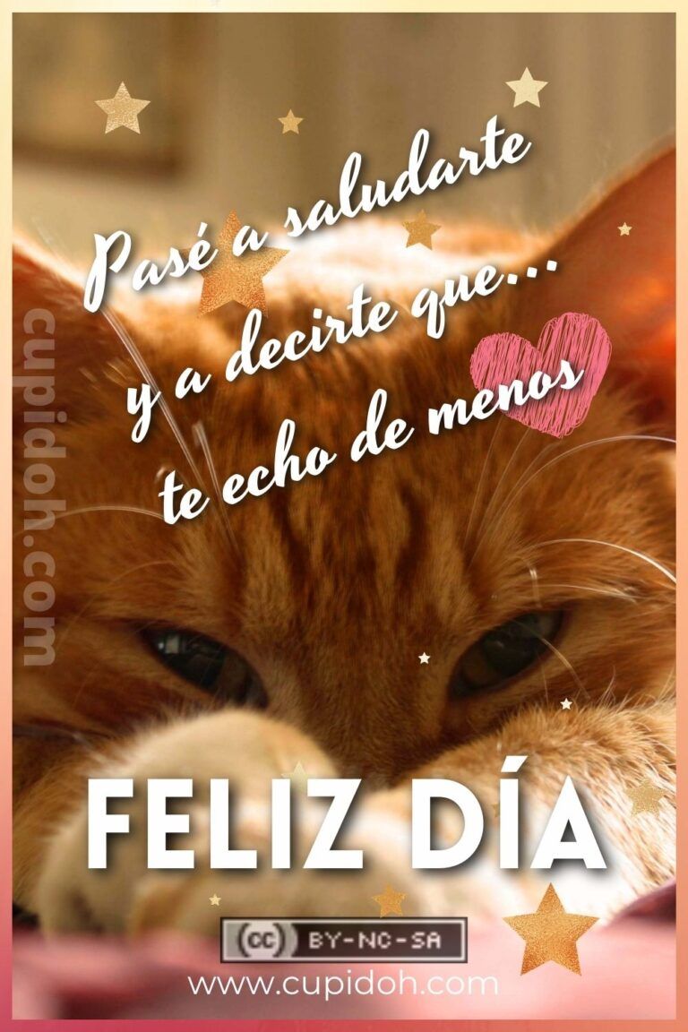 Feliz día