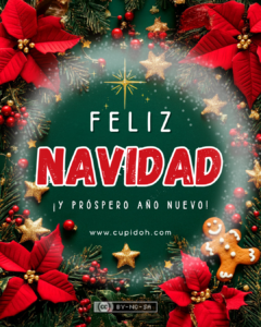 Felicitaciones de Navidad divertidas :) 14 felicitaciones graciosas para navidad